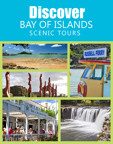 Discover Bay of Islands - scenic tour